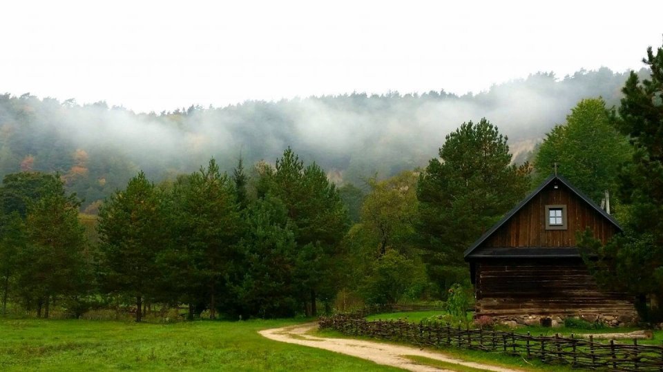 pavilniairukas-960x540.jpg